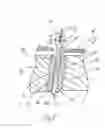 Fig. 09 - Fastener anchor repair system and method