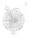 Fig. 05 - DEVICE AND METHOD FOR DISPENSING AND PACKING SOLID SUBSTANCES