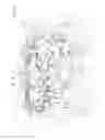 Fig. 09 - Engine apparatus