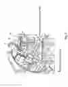 Fig. 07 - Method and device for inspecting continuously fed objects