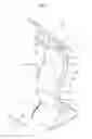 Fig. 05 - Robot
