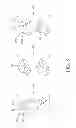 Fig. 09 - Process of producing tactile dots, tactile dot groups, and tactile identifier marks