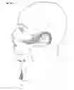 Fig. 05 - Facial structure stabilization methods and apparatus