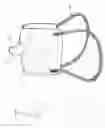 Fig. 03 - Easy Steady Oral Protection