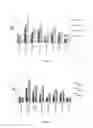 Fig. 05 - HAIR COLOUR COMPOSITION