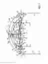 Fig. 03 - Craft dome