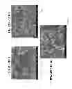 Fig. 23 - Systems and methods for the synthesis of high thermoelectric performance doped-SnTe materials