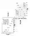 Fig. 24 - Systems and methods for the synthesis of high thermoelectric performance doped-SnTe materials
