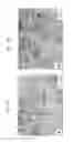 Fig. 04 - PROCESS FOR PRODUCING CARBONITRIDED PART