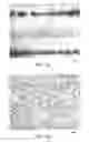 Fig. 48 - ALUMINUM-LITHIUM ALLOYS, AND METHODS FOR PRODUCING THE SAME