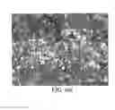 Fig. 52 - ALUMINUM-LITHIUM ALLOYS, AND METHODS FOR PRODUCING THE SAME