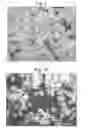 Fig. 07 - Processing explosives
