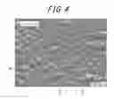 Fig. 05 - TIRE AND TIRE FORMING MOLD
