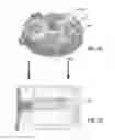 Fig. 09 - Hammerhead TCP coil support for high RF power conductor etch systems