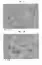 Fig. 06 - Method of making a wiper/towel product with cellulosic microfibers