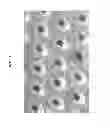 Fig. 16 - Method of making a wiper/towel product with cellulosic microfibers