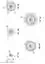 Fig. 15 - Dual use cable with fiber optics for use in wellbore operations