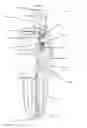 Fig. 01 - Water mist fire suppression sprinkler