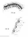 Fig. 21 - CUTTING STRUCTURES FOR FIXED CUTTER DRILL BIT AND OTHER DOWNHOLE CUTTING TOOLS