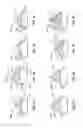 Fig. 30 - CUTTING STRUCTURES FOR FIXED CUTTER DRILL BIT AND OTHER DOWNHOLE CUTTING TOOLS