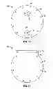 Fig. 04 - Hydrolysis system and method for a vehicle engine