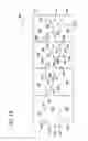 Fig. 11 - SHIPPING AND DISPLAY CONTAINER AND BLANK FOR FORMING SAME