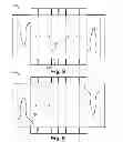 Fig. 06 - Divisible Carton Package