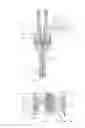 Fig. 02 - Fuel injection valve