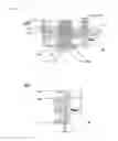 Fig. 08 - Fuel injection valve