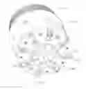 Fig. 06 - Virtual electrode mineral particle disintegrator