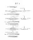 Fig. 05 - Space debris removing device and space debris removing method