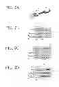 Fig. 08 - Space debris removing device and space debris removing method