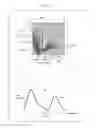 Fig. 22 - Image measurement apparatus and image measurement method for determining a proportion of positive cell nuclei among cell nuclei included in a pathologic examination specimen