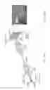 Fig. 13 - Integrated terahertz imaging systems
