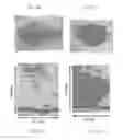 Fig. 19 - Integrated terahertz imaging systems