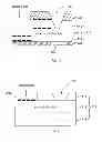 Fig. 07 - Apparatus for single-molecule detection