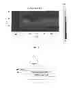 Fig. 15 - Apparatus for single-molecule detection