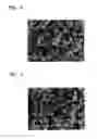 Fig. 03 - Active material for a lithium secondary battery, method of manufacturing the same, electrode including the active material, and lithium secondary battery including the electrode