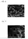 Fig. 05 - Active material for a lithium secondary battery, method of manufacturing the same, electrode including the active material, and lithium secondary battery including the electrode