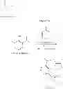 Fig. 20 - EMISSIVE IRIDIUM COMPLEXES FOR LIGHT-EMITTING DEVICES