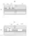 Fig. 01 - Nanochannel process and structure for bio-detection