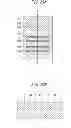 Fig. 46 - Method for manufacturing semiconductor device and semiconductor device