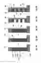 Fig. 08 - Method of forming an active area with floating gate negative offset profile in FG NAND memory