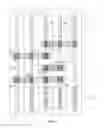 Fig. 80 - Semiconductor chip including digital logic circuit including at least nine linear-shaped conductive structures collectively forming gate electrodes of at least six transistors with some transistors forming cross-coupled transistor configuration and associated methods