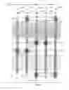 Fig. 97 - Semiconductor chip including digital logic circuit including at least nine linear-shaped conductive structures collectively forming gate electrodes of at least six transistors with some transistors forming cross-coupled transistor configuration and associated methods