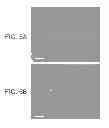 Fig. 04 - Nanostructure and process of fabricating same