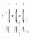 Fig. 18 - Leadless integrated circuit package having standoff contacts and die attach pad