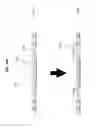 Fig. 22 - Leadless integrated circuit package having standoff contacts and die attach pad