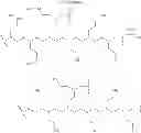 Fig. 07 - Sealing composition for semiconductor, semiconductor device and method of producing the same, and polymer and method of producing the same