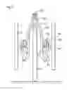 Fig. 06 - Bicycle convertible to a stroller